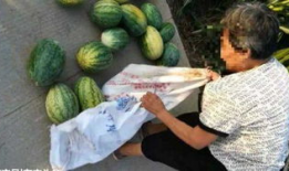 尉氏吃瓜最新事件爆料,揭秘背后惊人真相